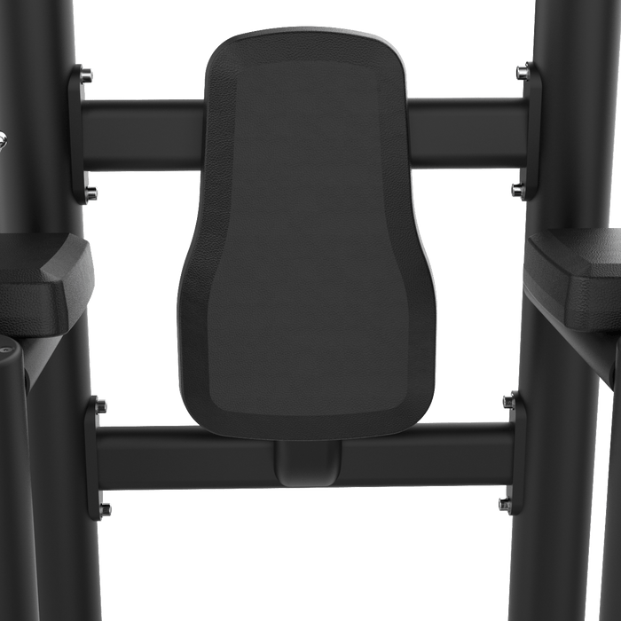 IRONSIDE Luxe Multi Pull Up & Dip